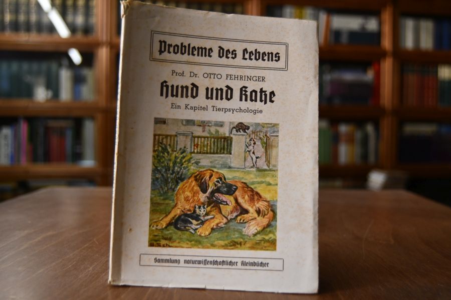 Hund und Katze. Ein Kapitel Tierpsychologie.