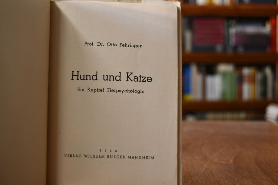 Hund und Katze. Ein Kapitel Tierpsychologie.