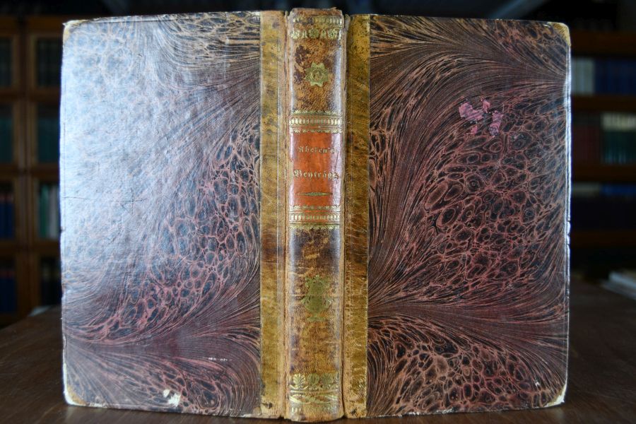 Beiträge für das Studium der Göttlichen Comödie Dante Alighieri`s.