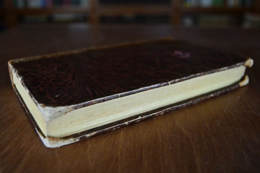 Beiträge für das Studium der Göttlichen Comödie Dante Alighieri`s.