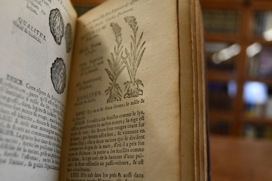 Histoire des plantes de l`Europe, et des plus usitées qui viennent d`Asie, d`Afrique & d`Amerique.  Où l`on voit leurs figures, leurs noms, en quel temps elles fleurissent, & le lieu où elles cruissent.  Avec un abrégé de leurs qualités & de leurs vertus spécifiques. ; Divisée en deux tomes, & rangée suivant l`ordre du Pinax de Gaspard Bauhin. Tome Premier (apart).