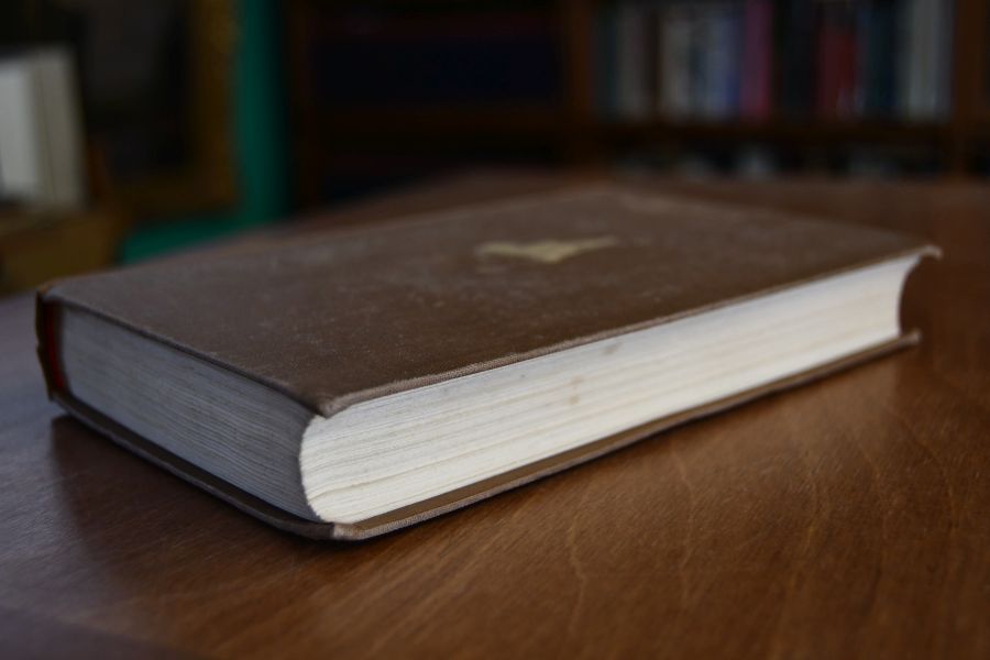 Der standhafte Geometer. Ein Roman von der jungen Donau.