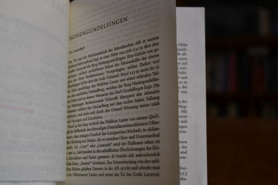 Hohengundelfingen.