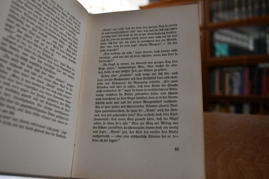 Keine Langeweile. Erzählung für die Jugend.