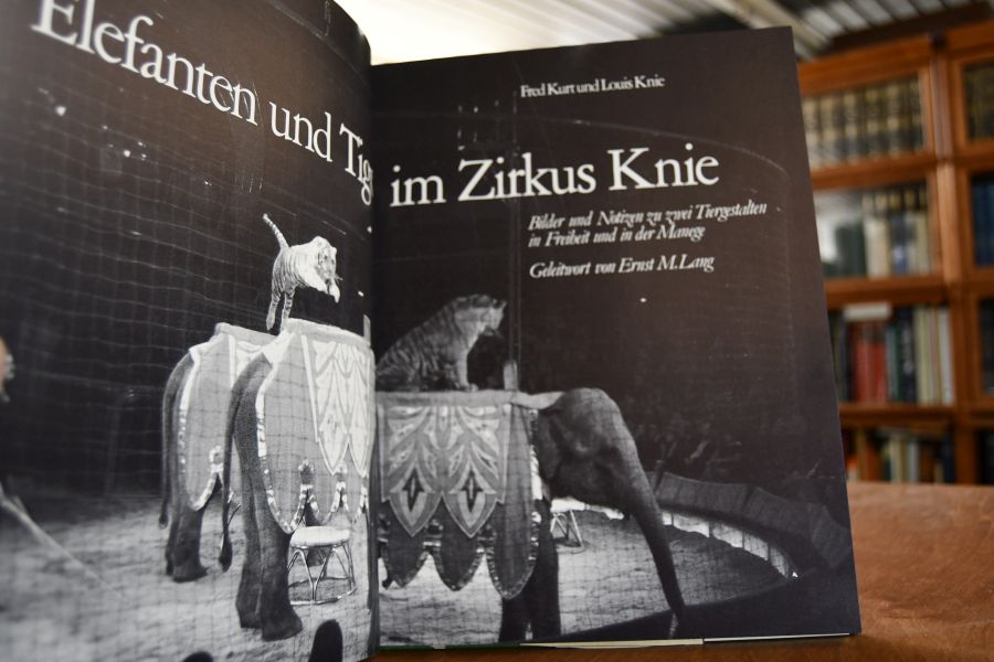 Elefanten und Tiger im Zirkus Knie. Bilder und Notizen zu 2 Tiergestalten in Freiheit und in der Manege.