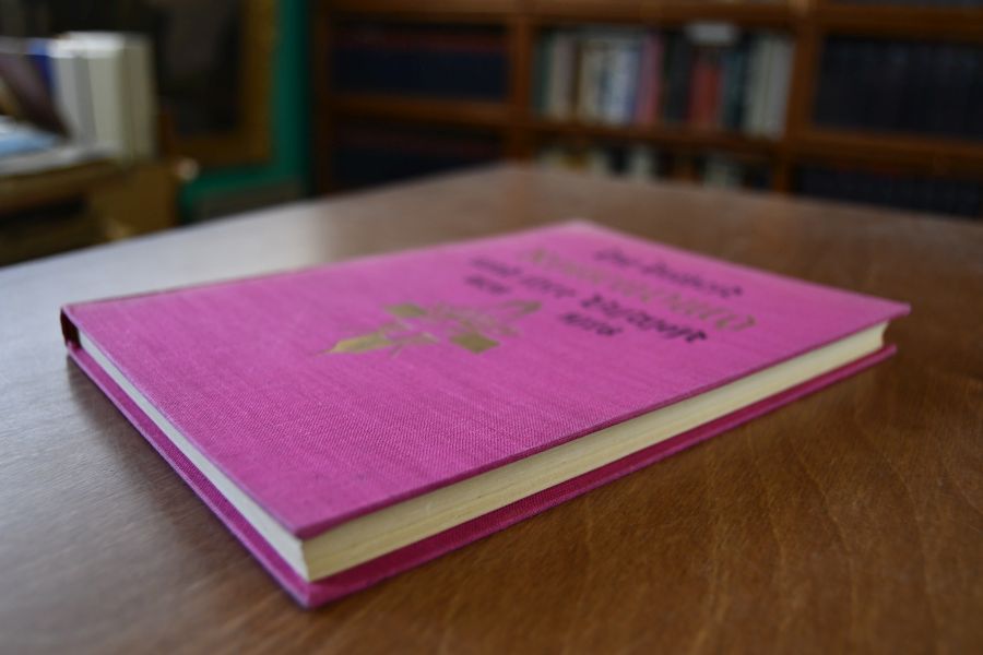 Die Diözese Rottenburg und ihre Bischöfe 1828-1928. Ein Festbuch zum hundertjährigen Jubiläum der Diözese.