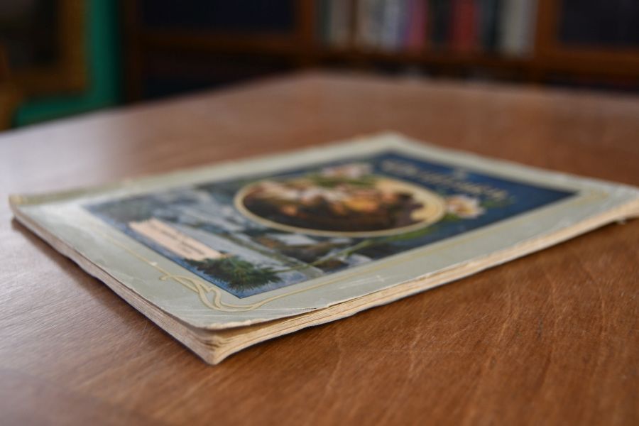 Kleine Christrosen. Erzählungen für Jung und Alt. 126. Heft. Enthält P. Meder Eines Bübleins Segensweg