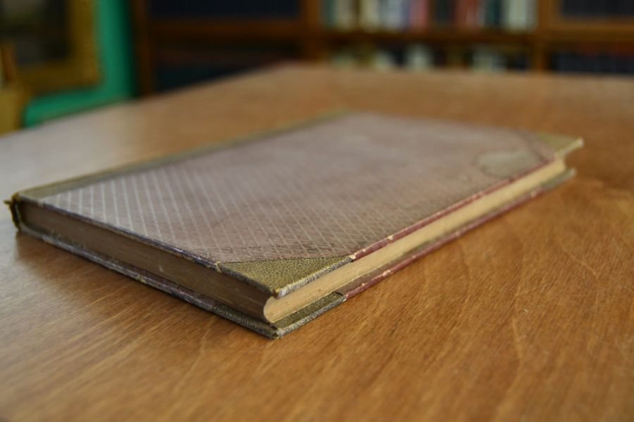 Münchhausen in Amerika. Ein Potpurri schnurriger Geschichten frei nach dem Amerikanischen