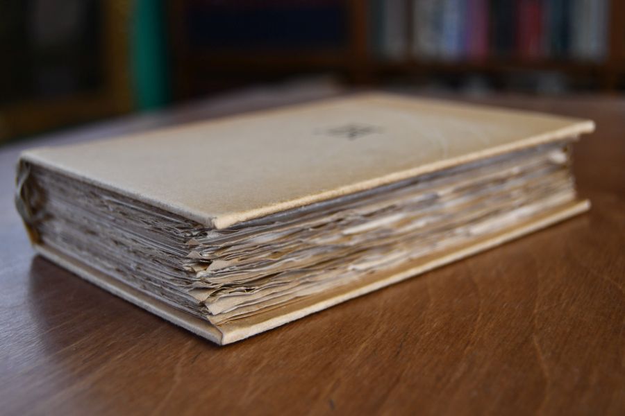Albrecht Dürers schriftlicher Nachlass. Familienchronik, Gedenkbuch, Tagebuch der niederländischen Reise, Briefe, Reime, Auswahl aus den theoretischen Schriften.