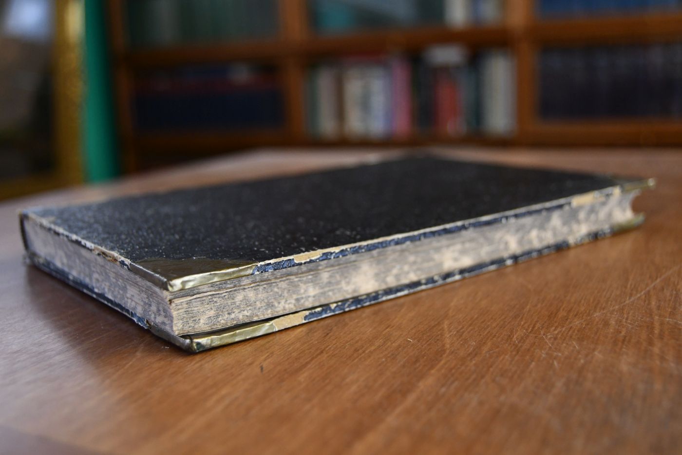 Unseres heiligen Vaters Papst Leo XIII. Leben.