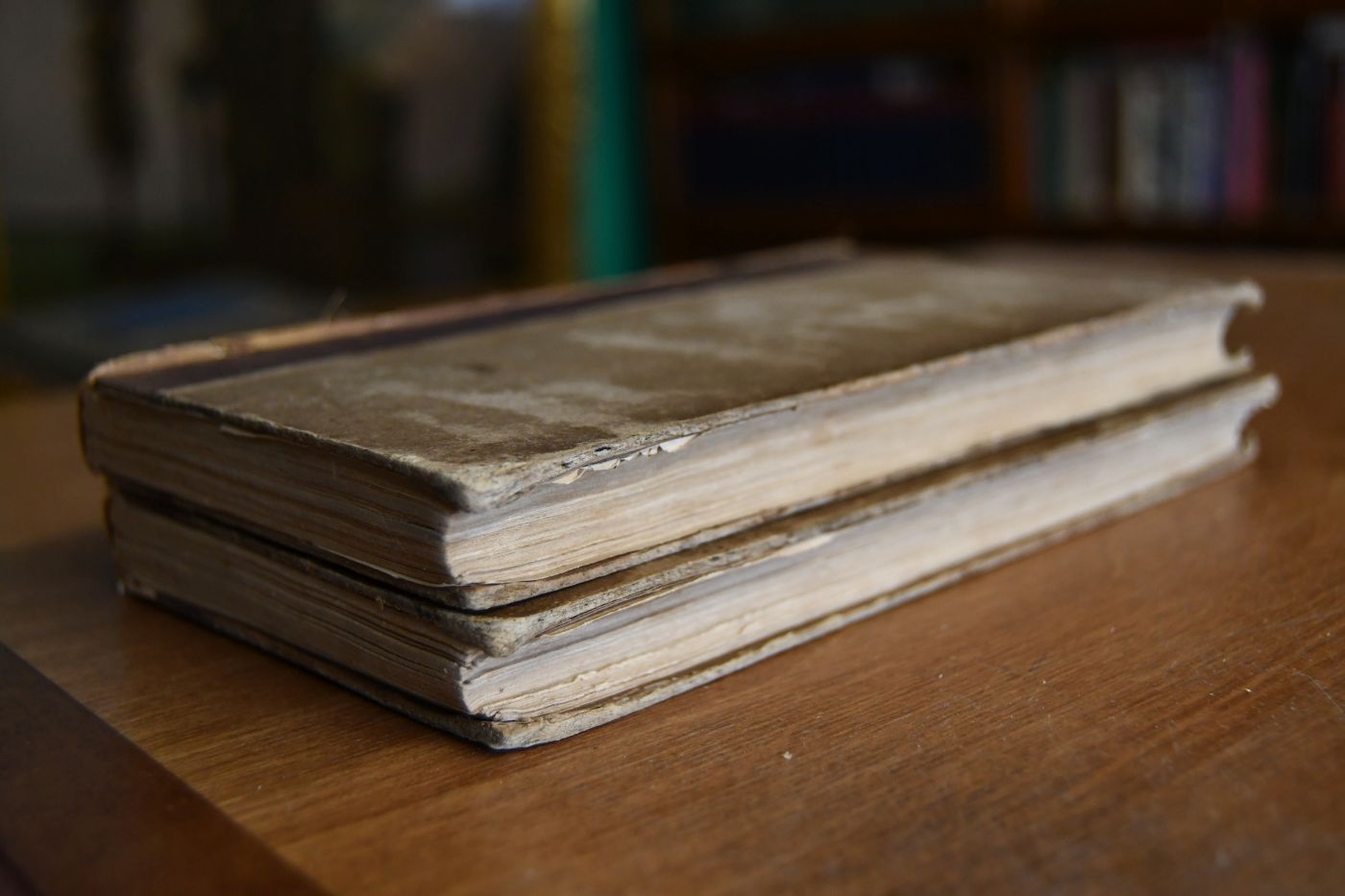 Diary in America, remarks on its institutions. 2 Bde.