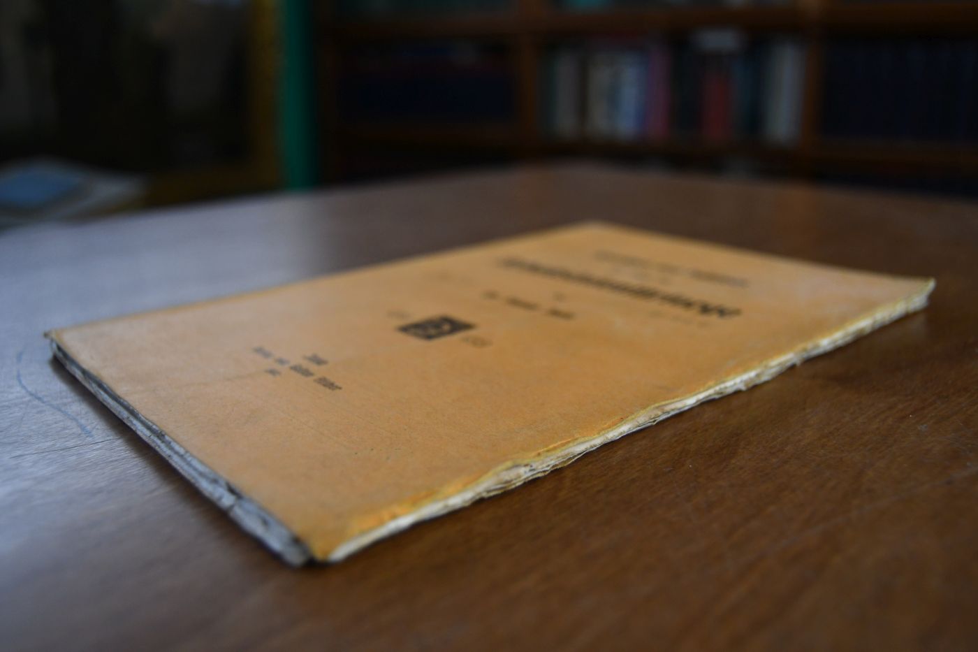 Kritisches und Positives zur Frage der Arbeitslosenfürsorge..