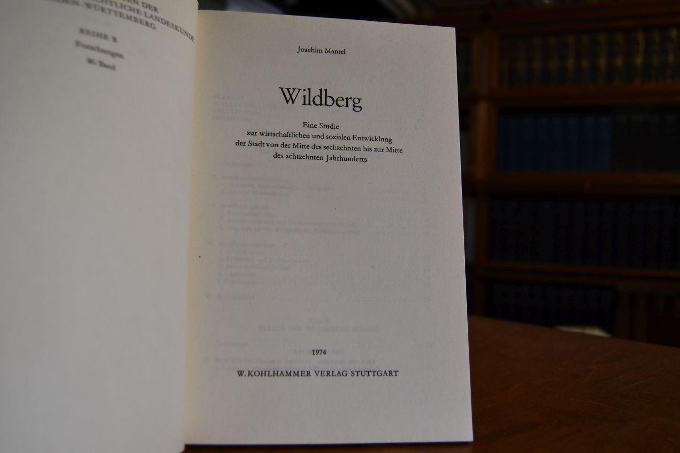 Wildberg. Eine Studie zur wirtschaftlichen und sozialen Entwicklung der Stadt von der Mitte des 16. bis zur Mitte des 18. Jahrhunderts.