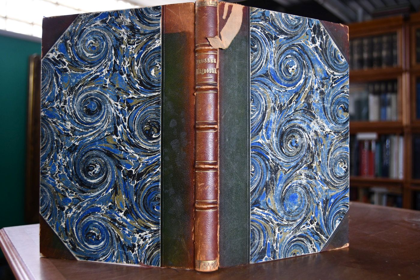 Ausgewählte Kapitel der klinischen Symptomatologie und Diagnostik.