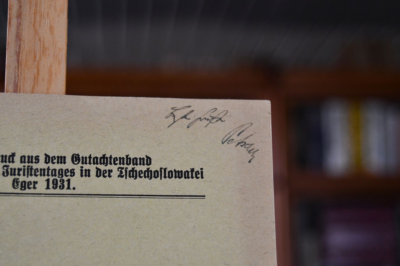 Welche Maßnahmen sollen ergriffen werden, um eine einheitliche Judikatur der obersten Gerichte zu sichern?