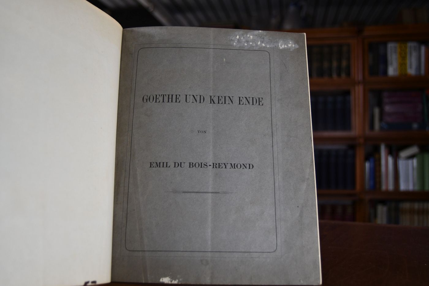 Goethe und kein Ende. Rede bei Antritt des Rectorats der koenigl. Friedrich-Wilhelms-Universität zu Berlin am 15. October 1882 gehalten.
