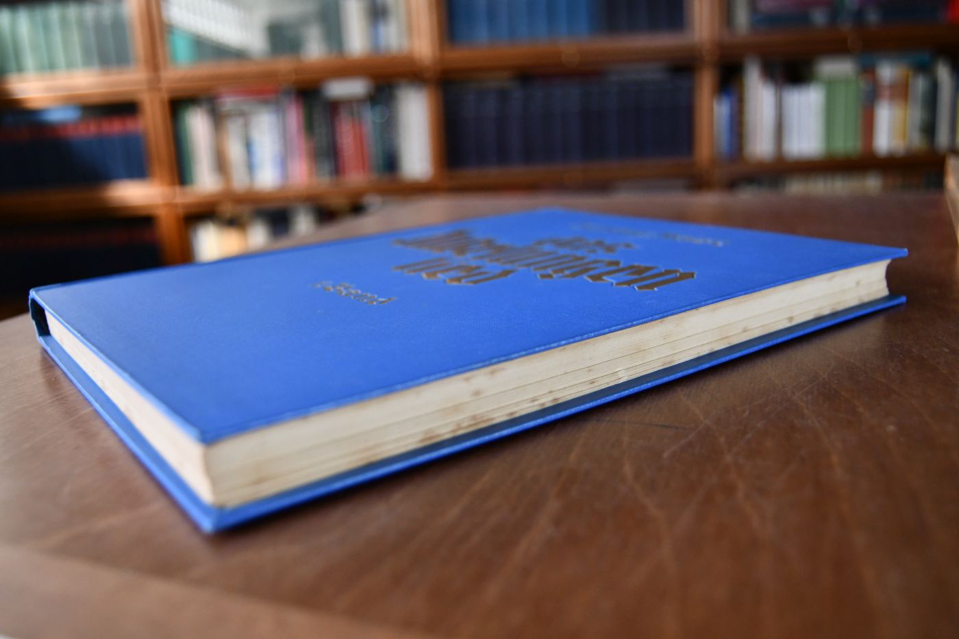 Das Nibelungenlied. Der Runengesang vom deutschen Gedanken. 1. Band (Bd. 2 nicht erschienen).