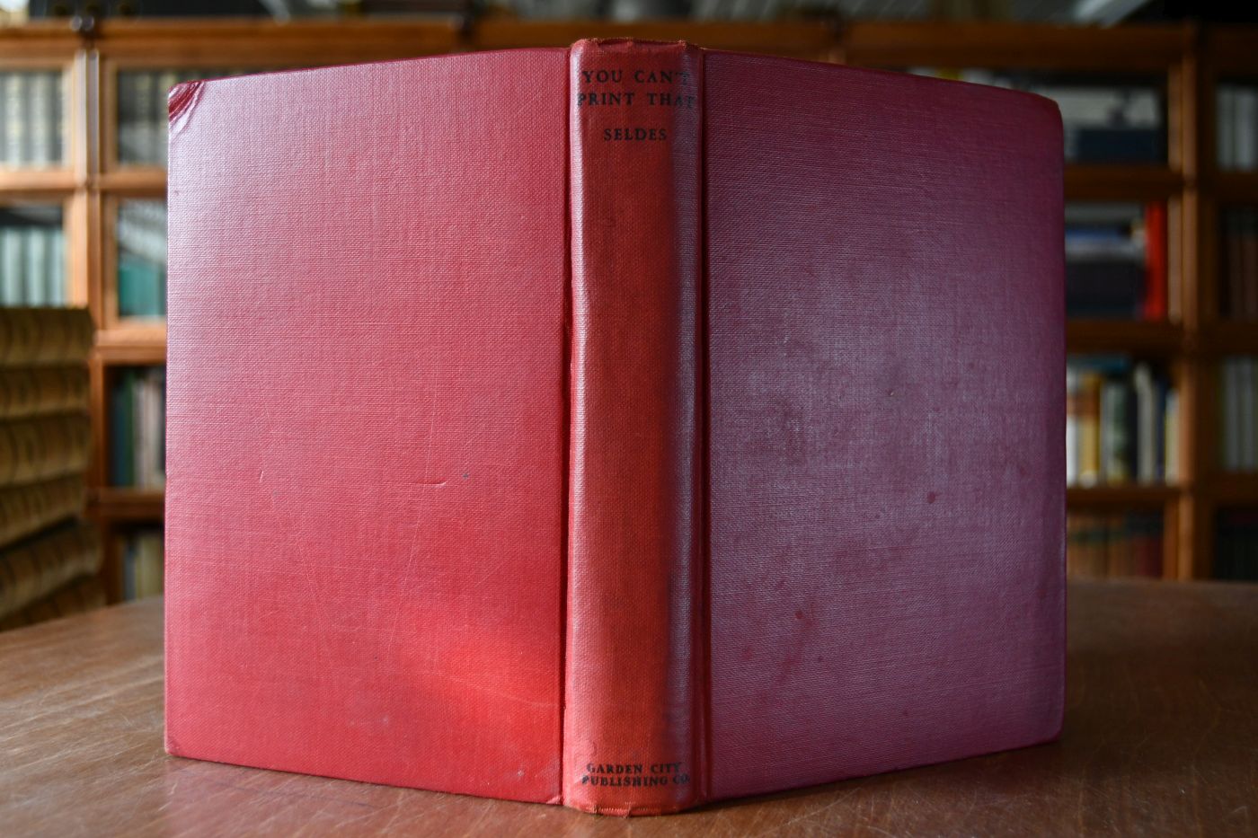 You can`t print that! The truth behind the news 1918-1928.