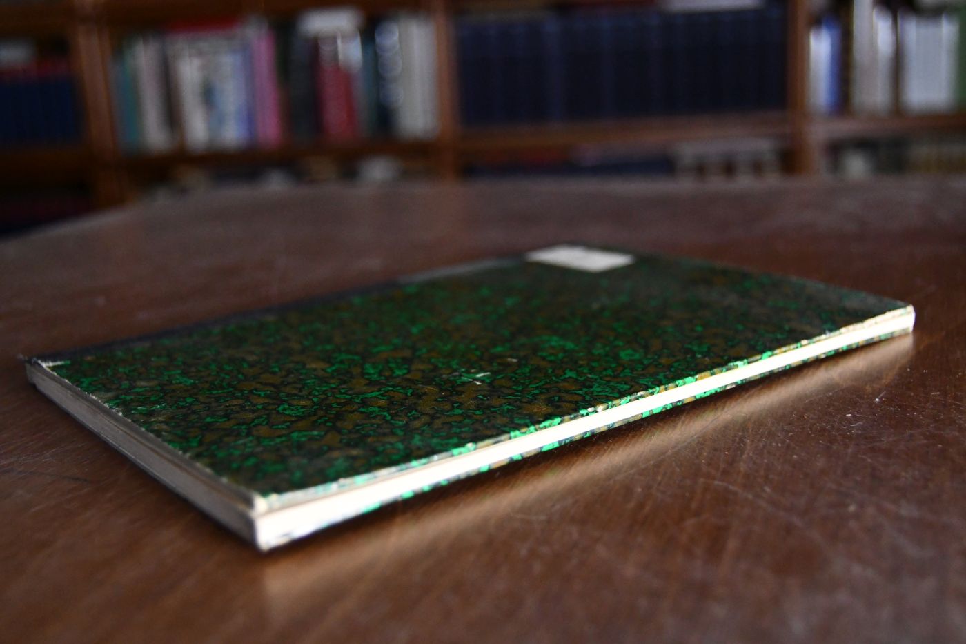 Das tägliche Gericht. Ein Beitrag zur Geschichte der Niedergerichtsbarkeit im Mittelalter.