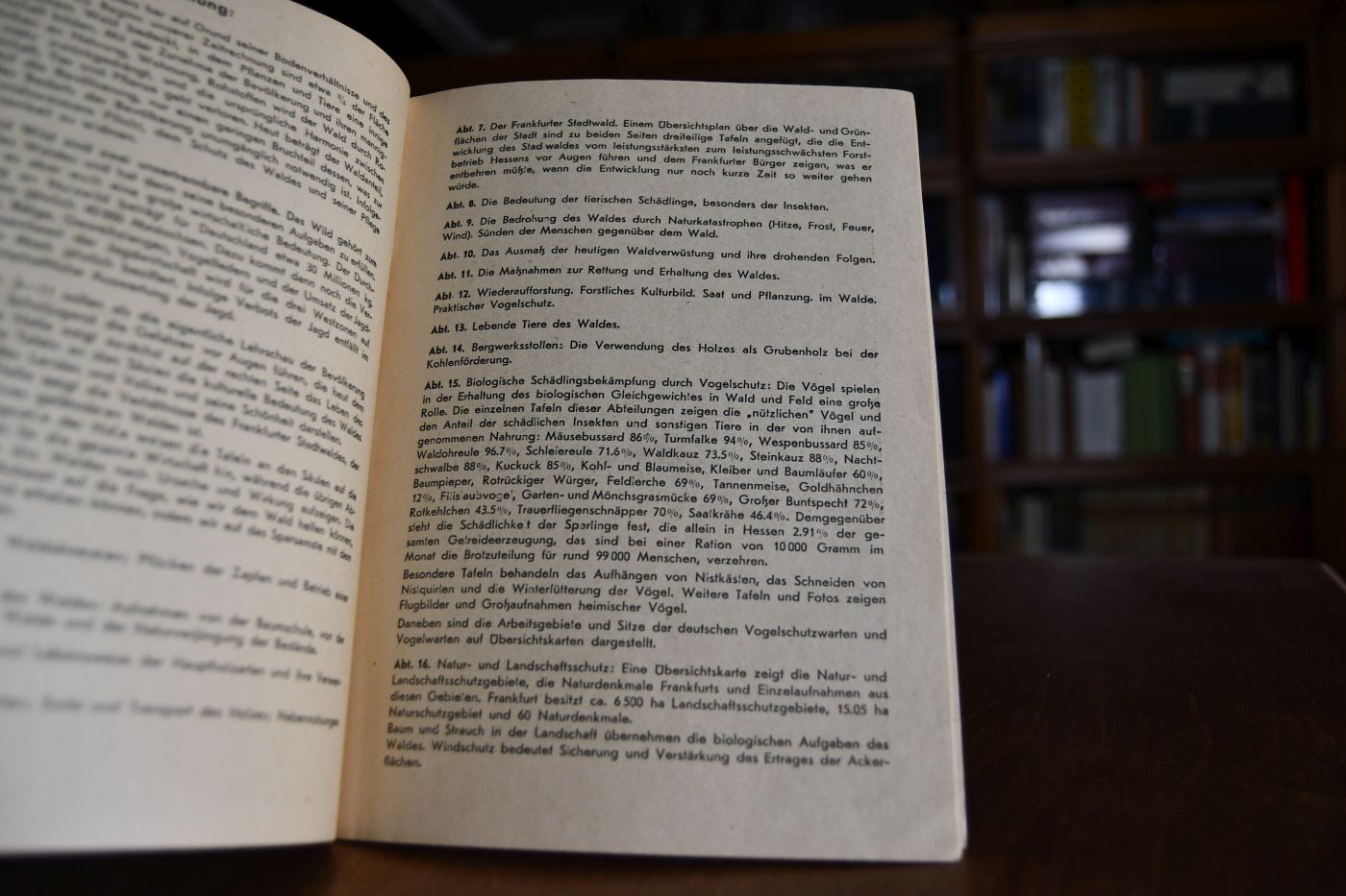 Unser Wald. Ausstellung über das Leben, die kulturelle und wirtschaftliche Bedeutung des Waldes und die Folgen der Waldvernichtung.