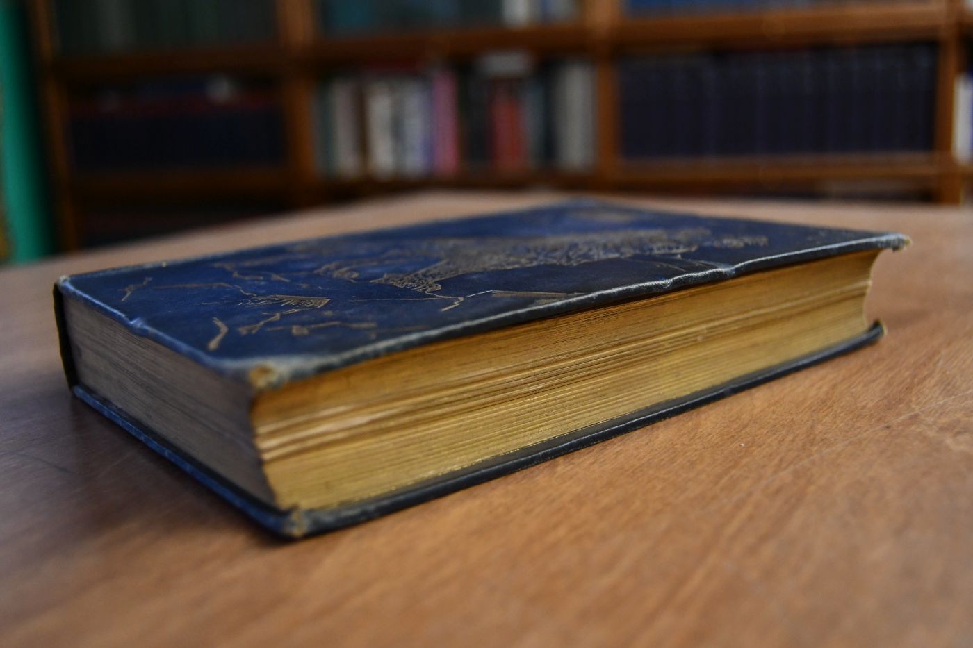 The Animal Story Book.