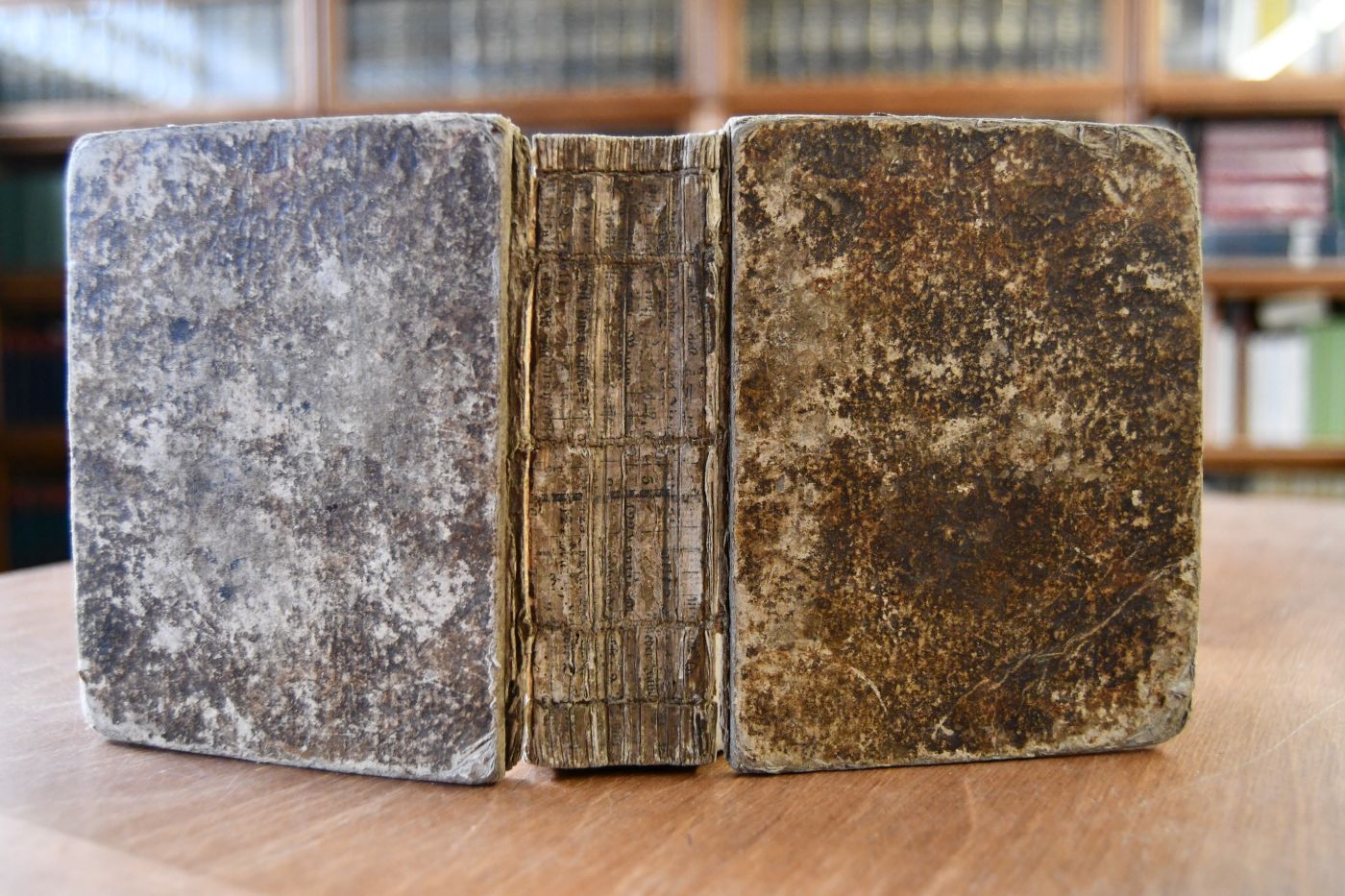 Gedichte. 2 Theile in einem Band.