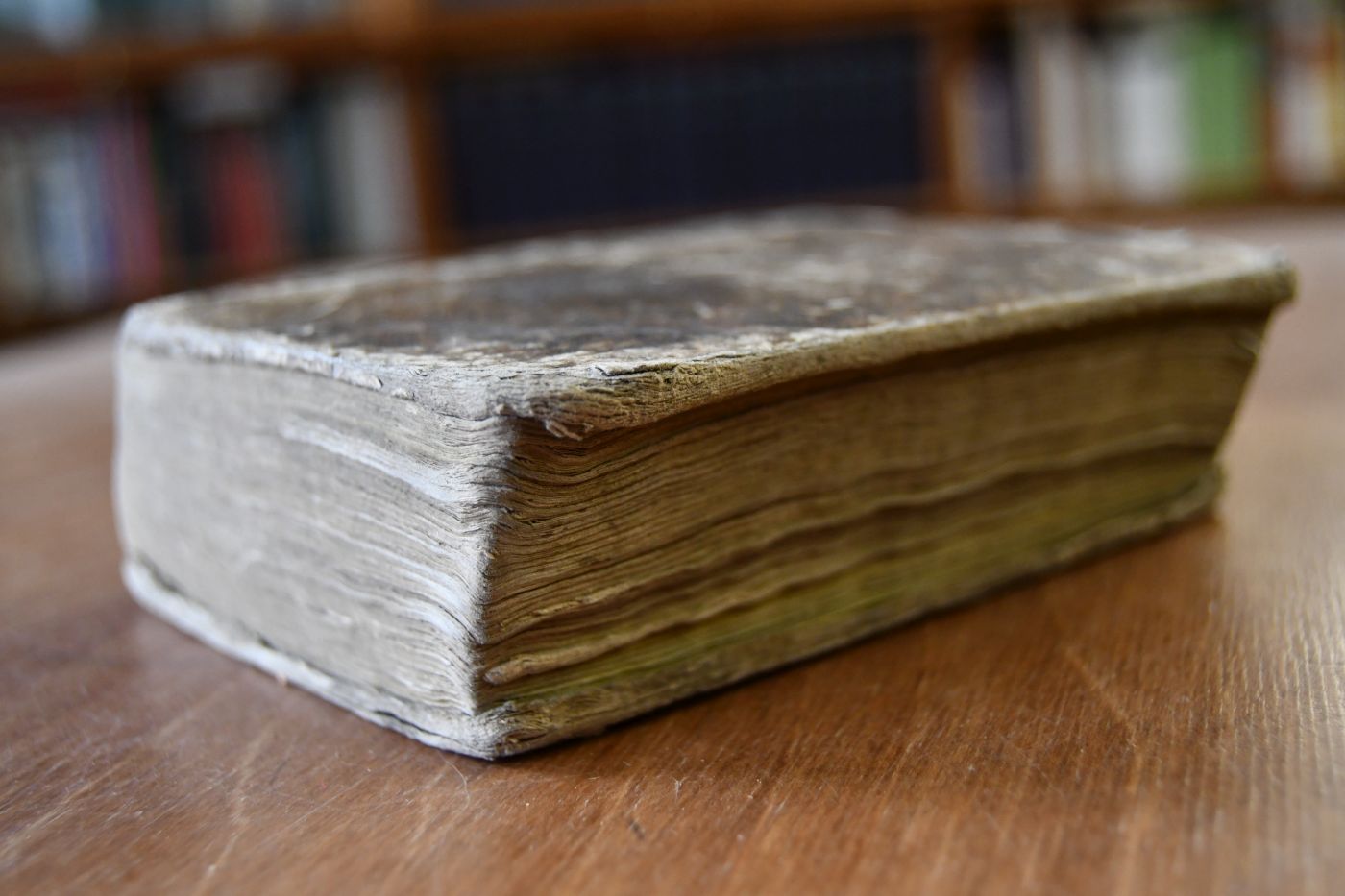 Gedichte. 2 Theile in einem Band.