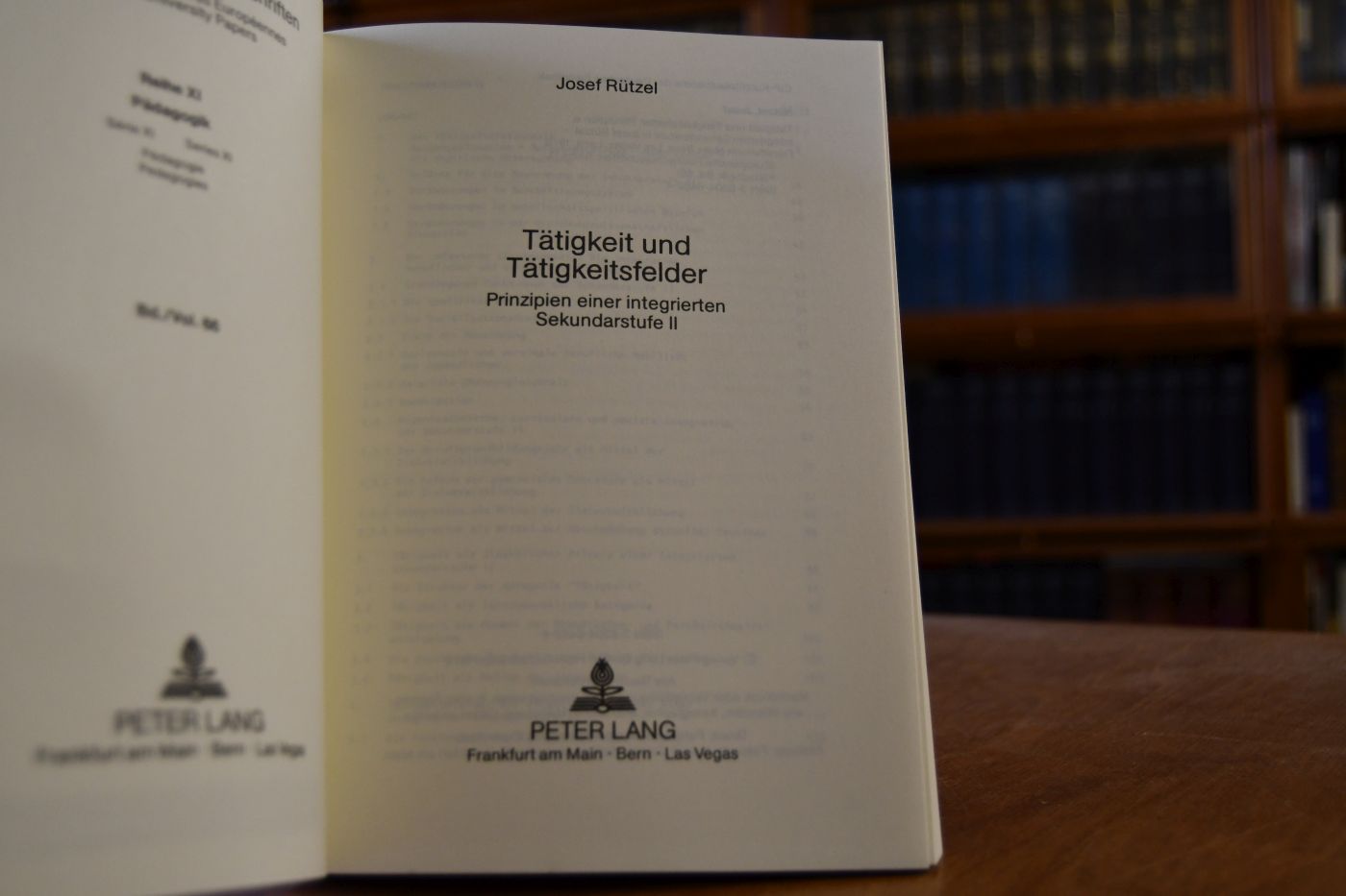 Tätigkeit und Tätigkeitsfelder. Prinzipien einer integrierten Sekundarstufe 2.