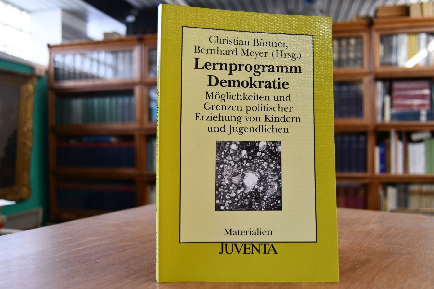 Lernprogramm Demokratie. Möglichkeiten und Grenzen politischer Erziehung von Kindern und Jugendlichen.