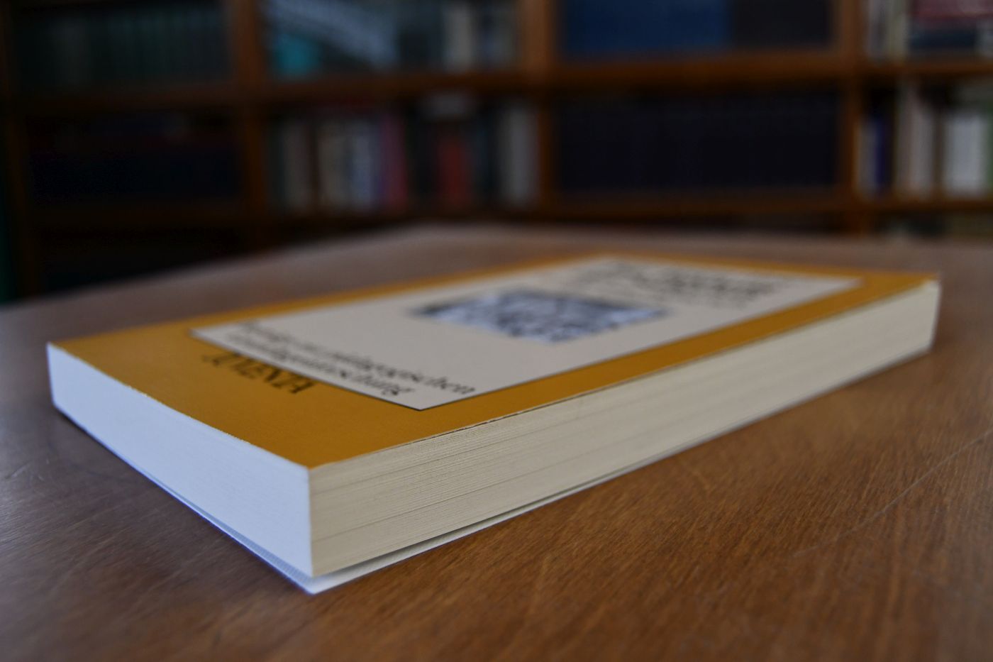 Die Bildung des Subjekts. Beiträge zur Pädagogik der Teilhabe.