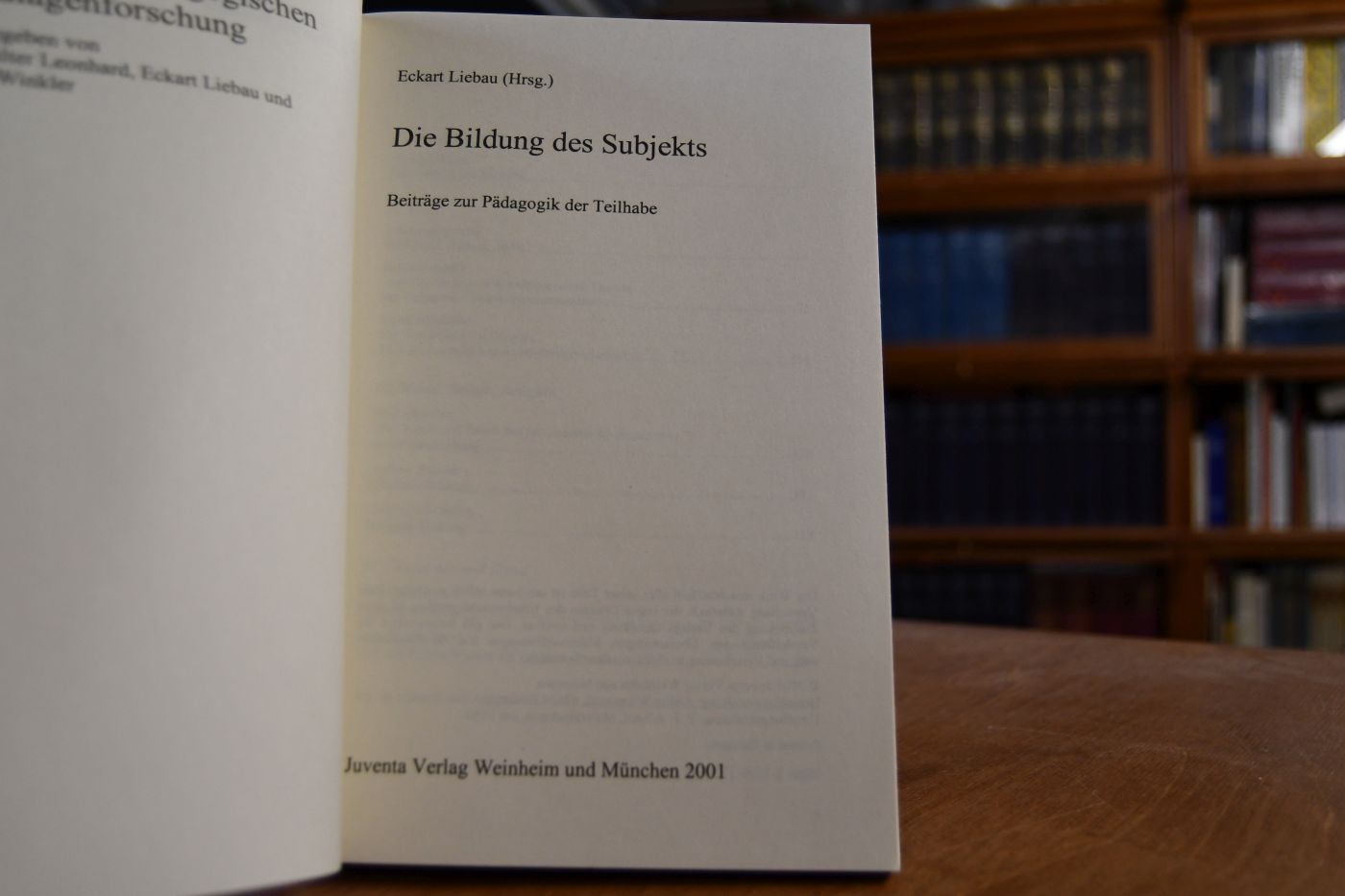 Die Bildung des Subjekts. Beiträge zur Pädagogik der Teilhabe.