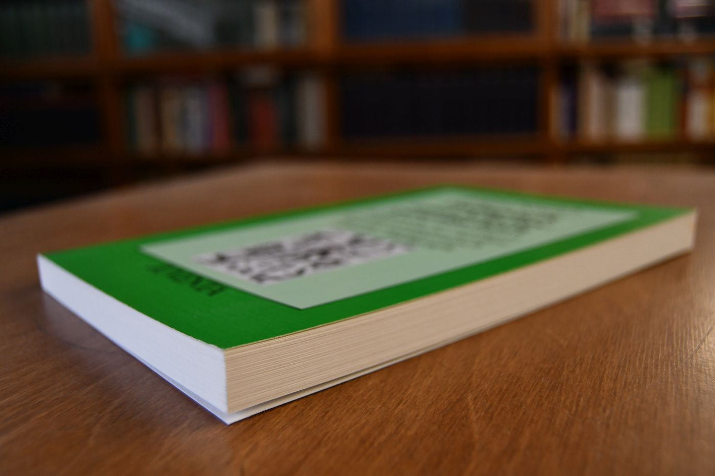 Pädagogik und Arbeitsgesellschaft. Historische Grundlagen und theoretische Ansätze für eine sozialpolitisch reflexive Pädagogik.