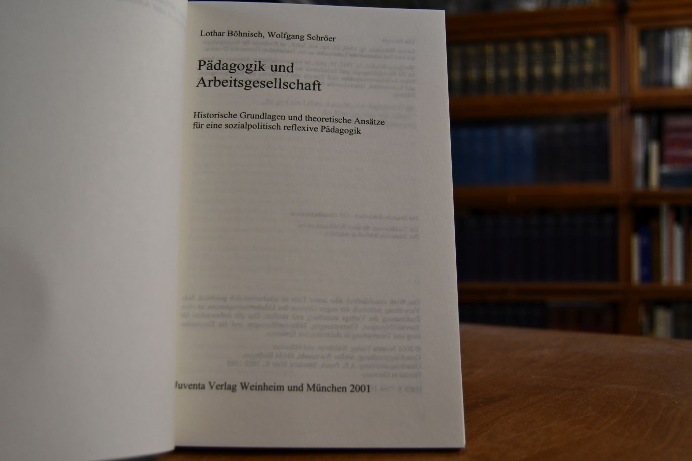 Pädagogik und Arbeitsgesellschaft. Historische Grundlagen und theoretische Ansätze für eine sozialpolitisch reflexive Pädagogik.