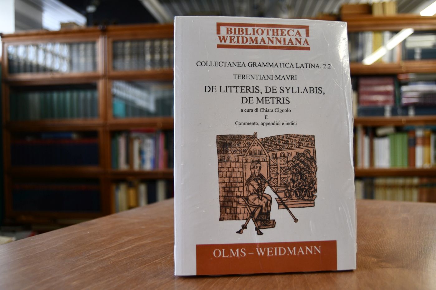 Terentiani Mauri De Litteris, De syllabis, De metris; Teil 2., Commento, appendici e indici.