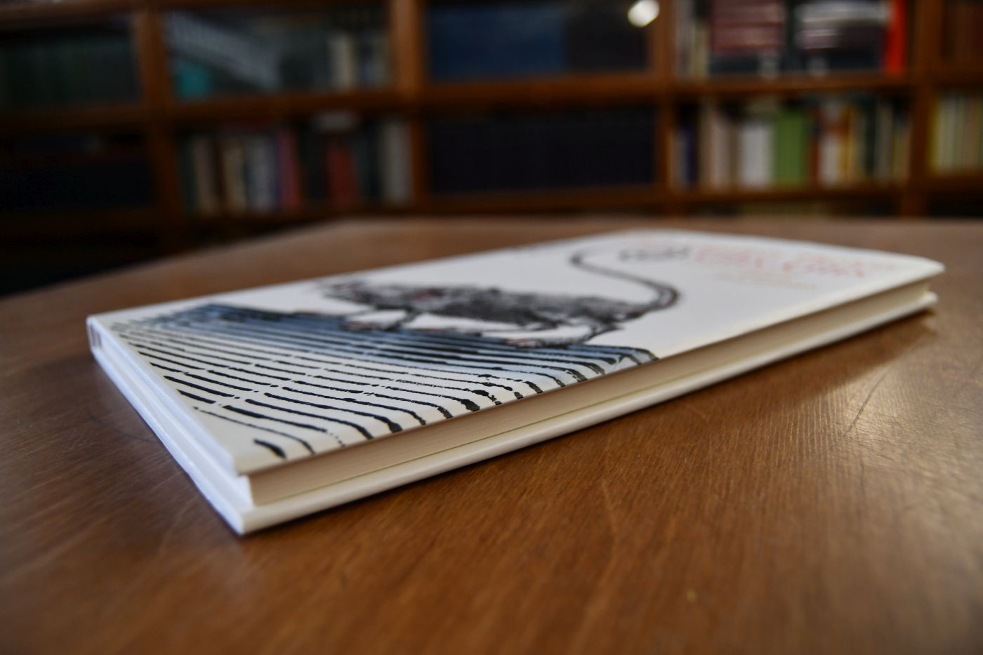 Glis-Glis. Eine zoo-gnostische Parabel. Entstanden als Fingerübung eines Seh-Gestörten. Beigef. sind Briefe des Autors an W. Georg Olms. Zeichnungen von Paul König.