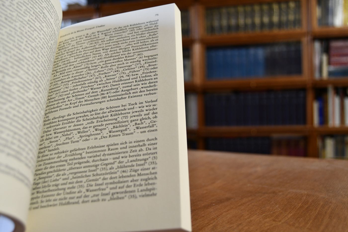 Wege zum Wunderbaren. Romantische Kunstmärchen und Erzählungen.