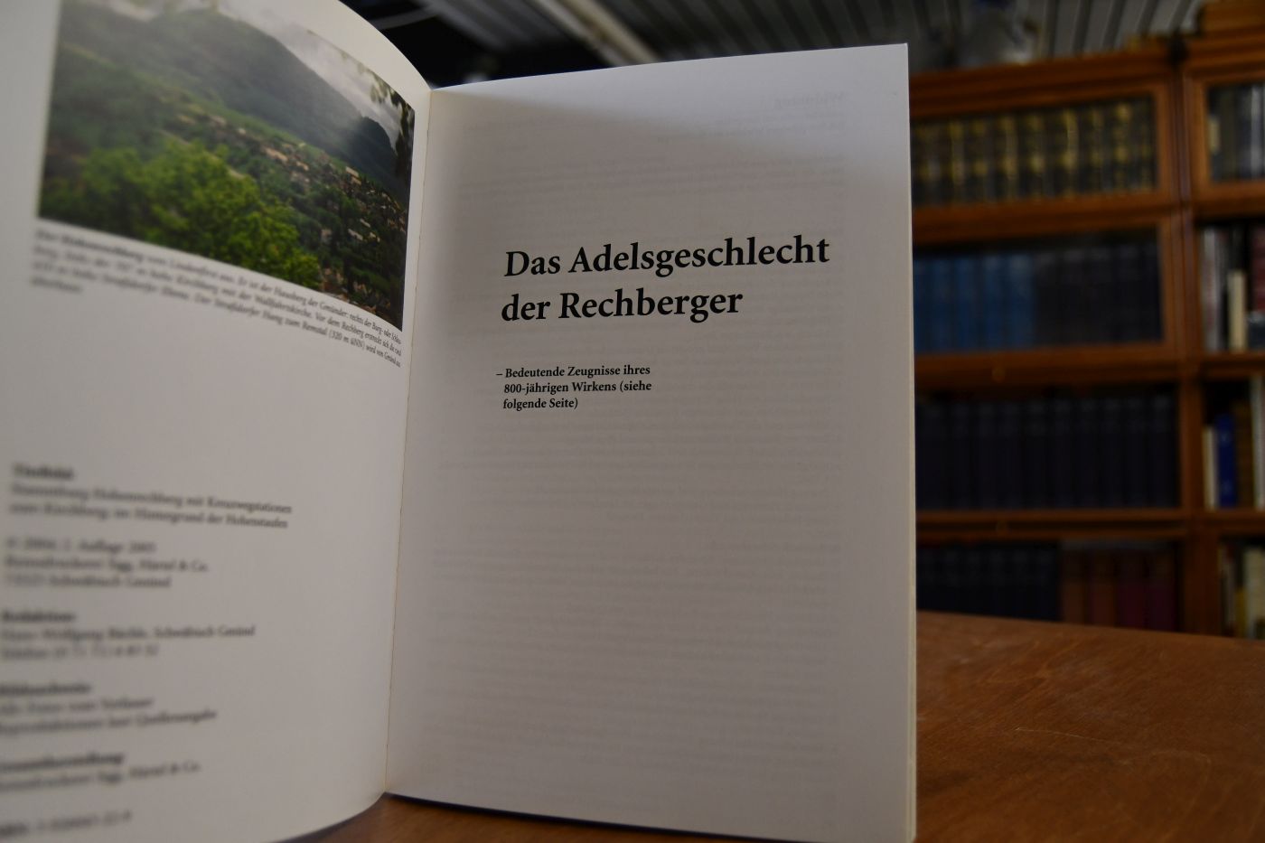 Das Adelsgeschlecht der Rechberger Burgen und Schlösser, Kirchen und Kapellen, Kunstwerke, Grabdenkmäler.