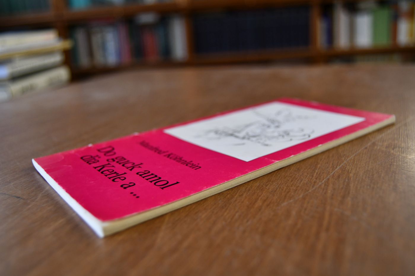 Do guck amol dia Kerle a ... Schwäbisches und Halbschwäbisches aus Familie und Gemeinde.