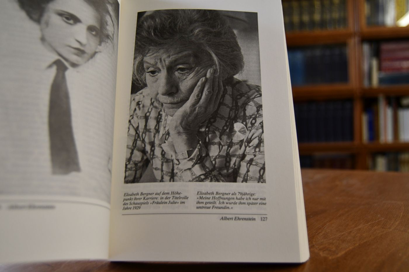 Die verbrannten Dichter. Lebensgeschichten und Dokumente.