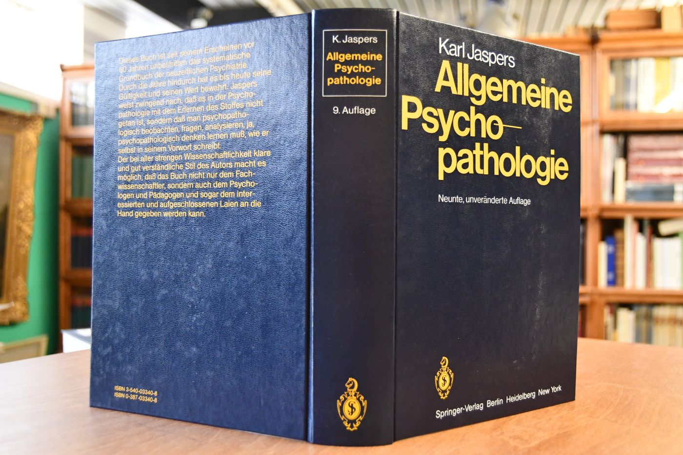 Allgemeine Psychopathologie.