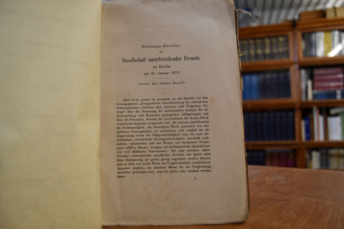 Sitzungs-Bericht der Gesellschaft naturforschender Freunde zu Berlin am 21. Januar 1873.