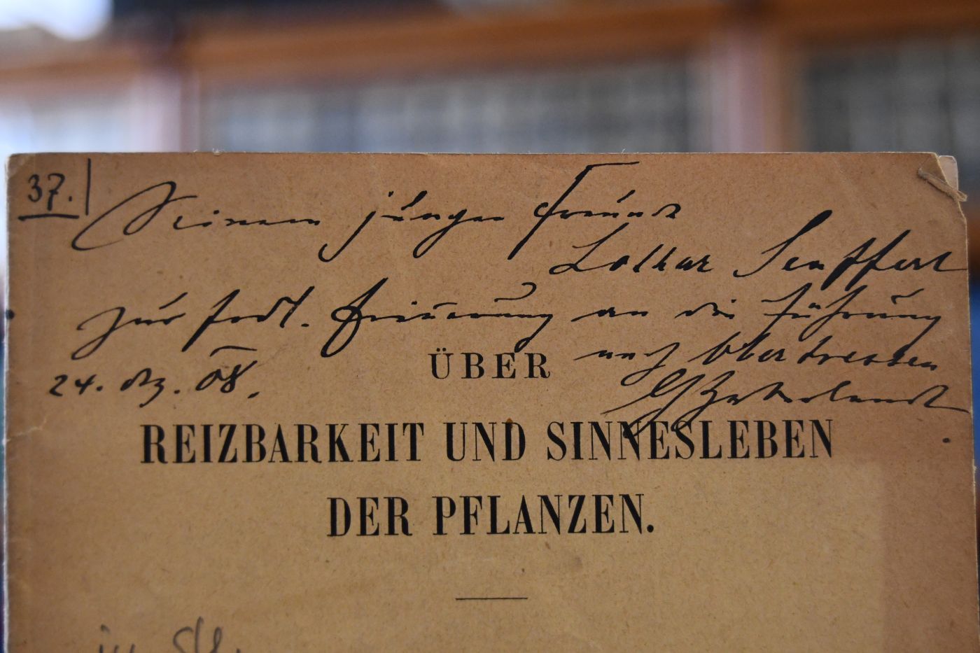 Über Reizbarkeit und Sinnesleben der Pflanzen. Vortrag gehalten in der feierlichen Sitzung der Kaiserlichen Akademie der Wissenschaften am 30. Mai 1908.