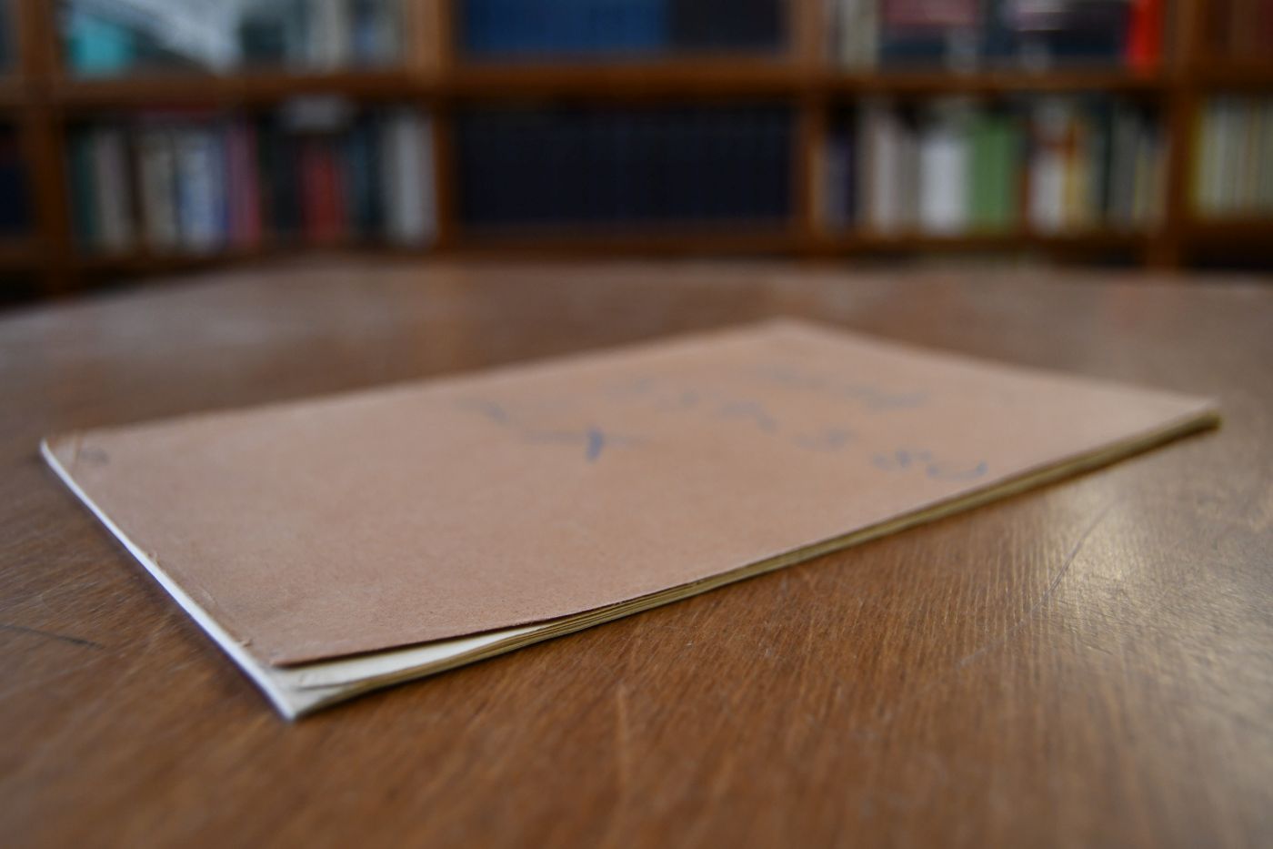 Weitere Beiträge zur Käferfauna von Südasien und Neuguinea.