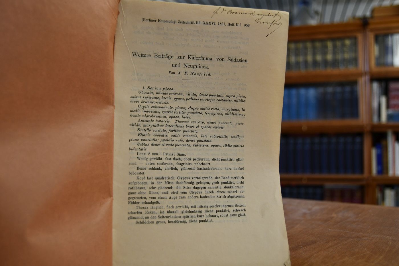 Weitere Beiträge zur Käferfauna von Südasien und Neuguinea.