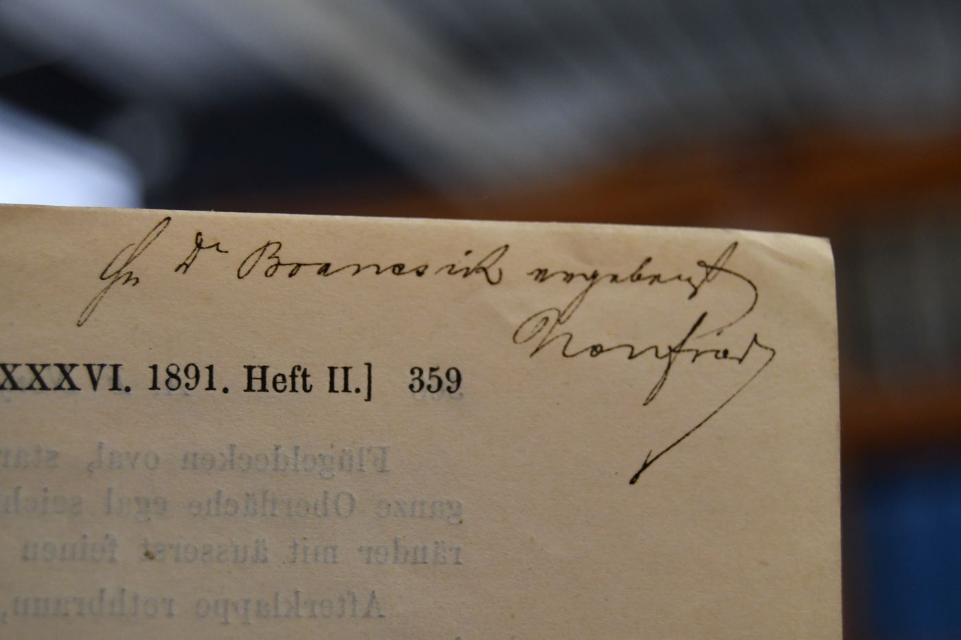 Weitere Beiträge zur Käferfauna von Südasien und Neuguinea.