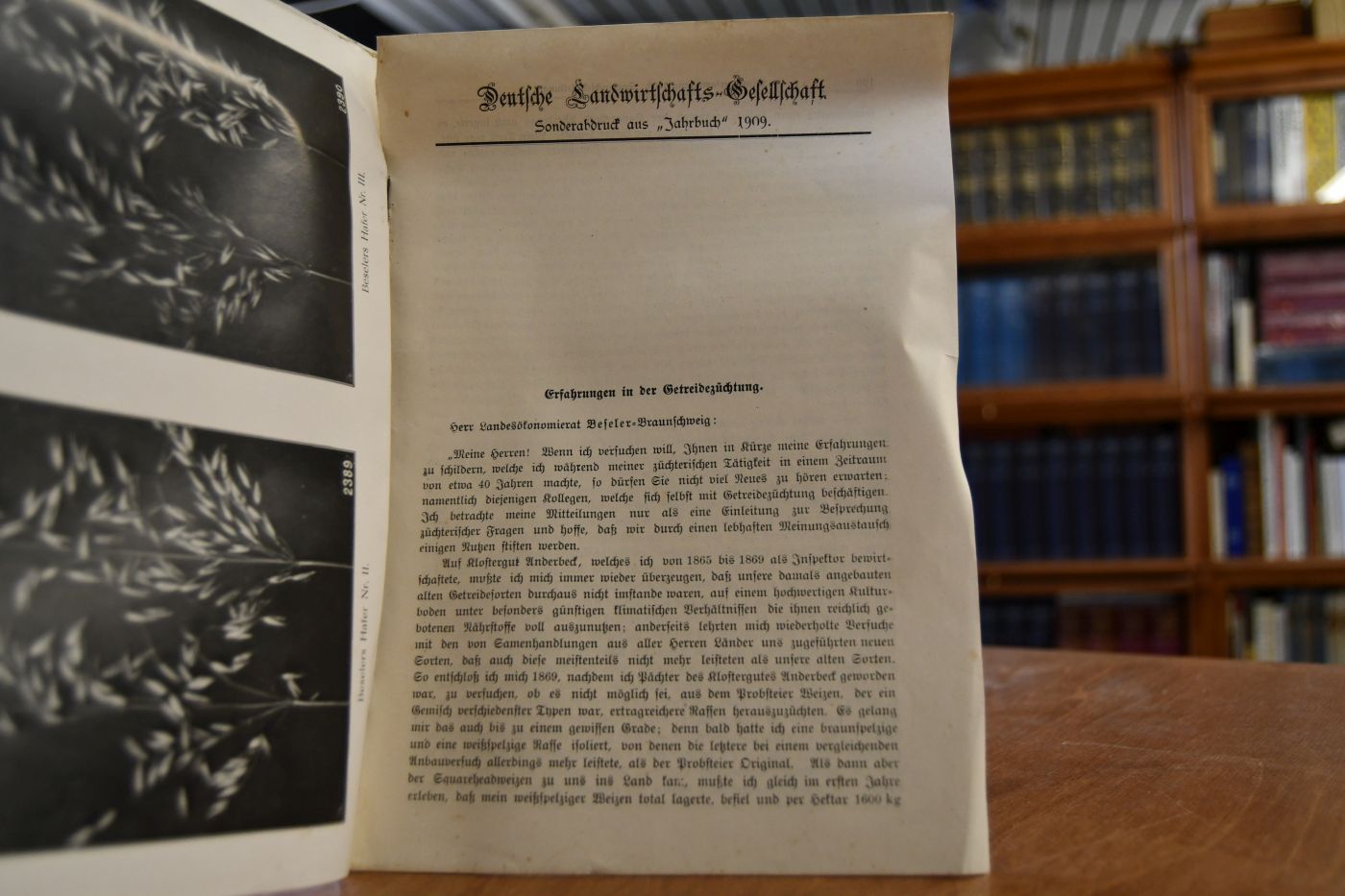 Erfahrungen in der Getreidezüchtung.