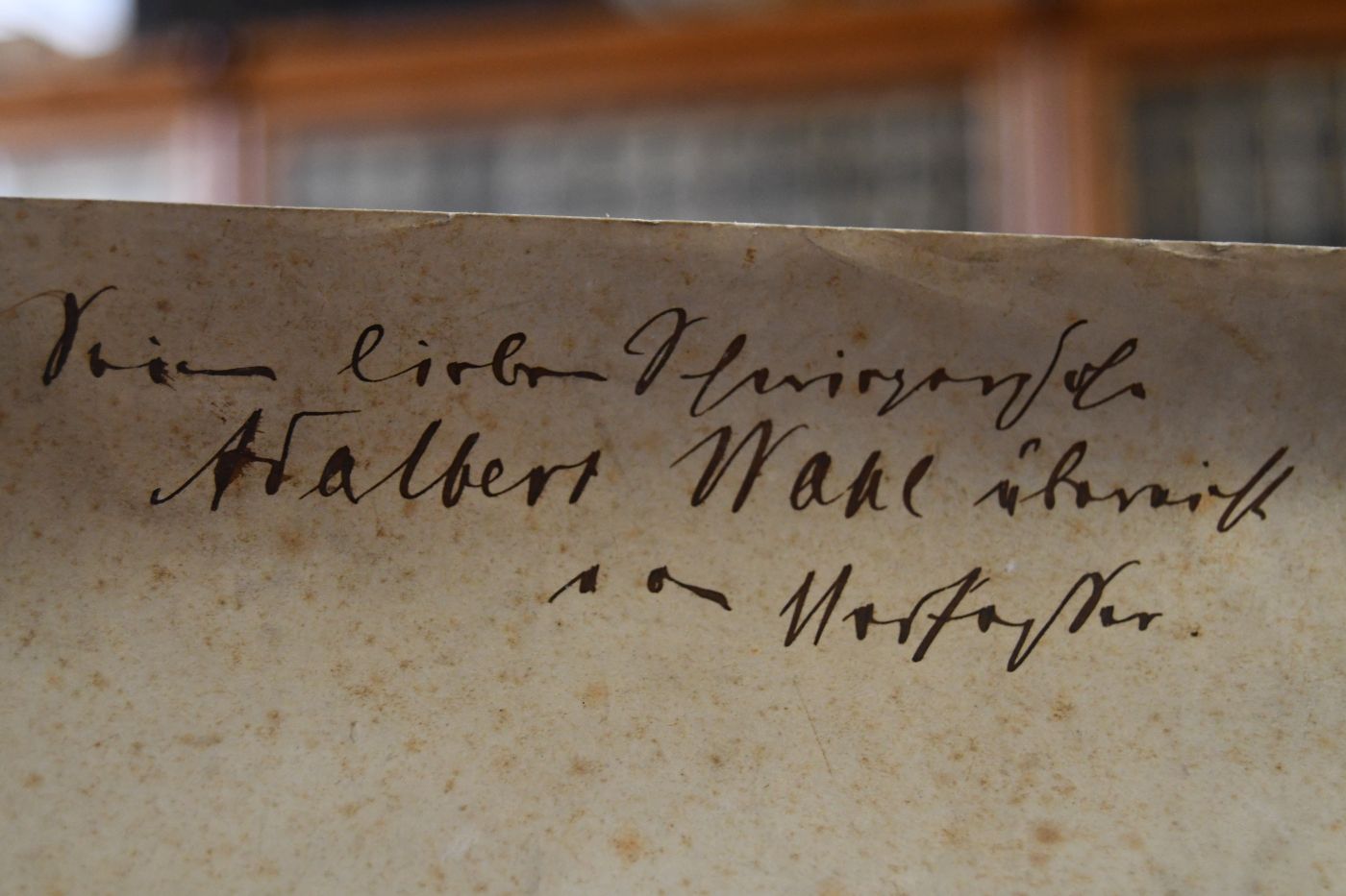 Erfahrungen in der Getreidezüchtung.