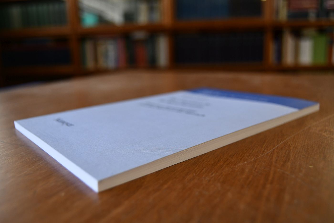 Das Ostjiddische im Sprachkontakt. Deutsch im Spannungsfeld zwischen Semitisch und Slavisch.