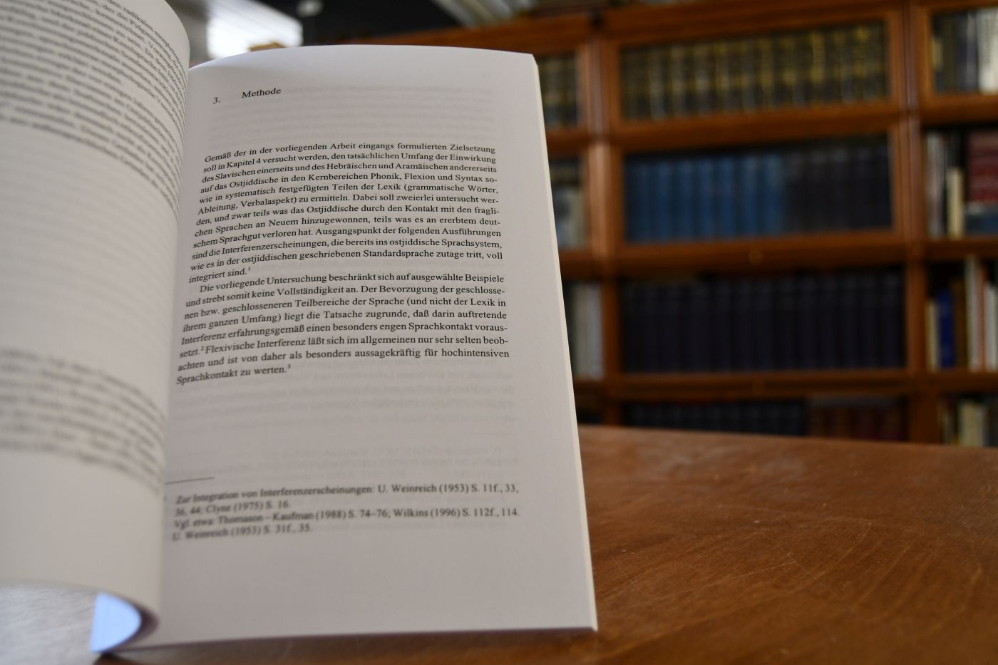 Das Ostjiddische im Sprachkontakt. Deutsch im Spannungsfeld zwischen Semitisch und Slavisch.