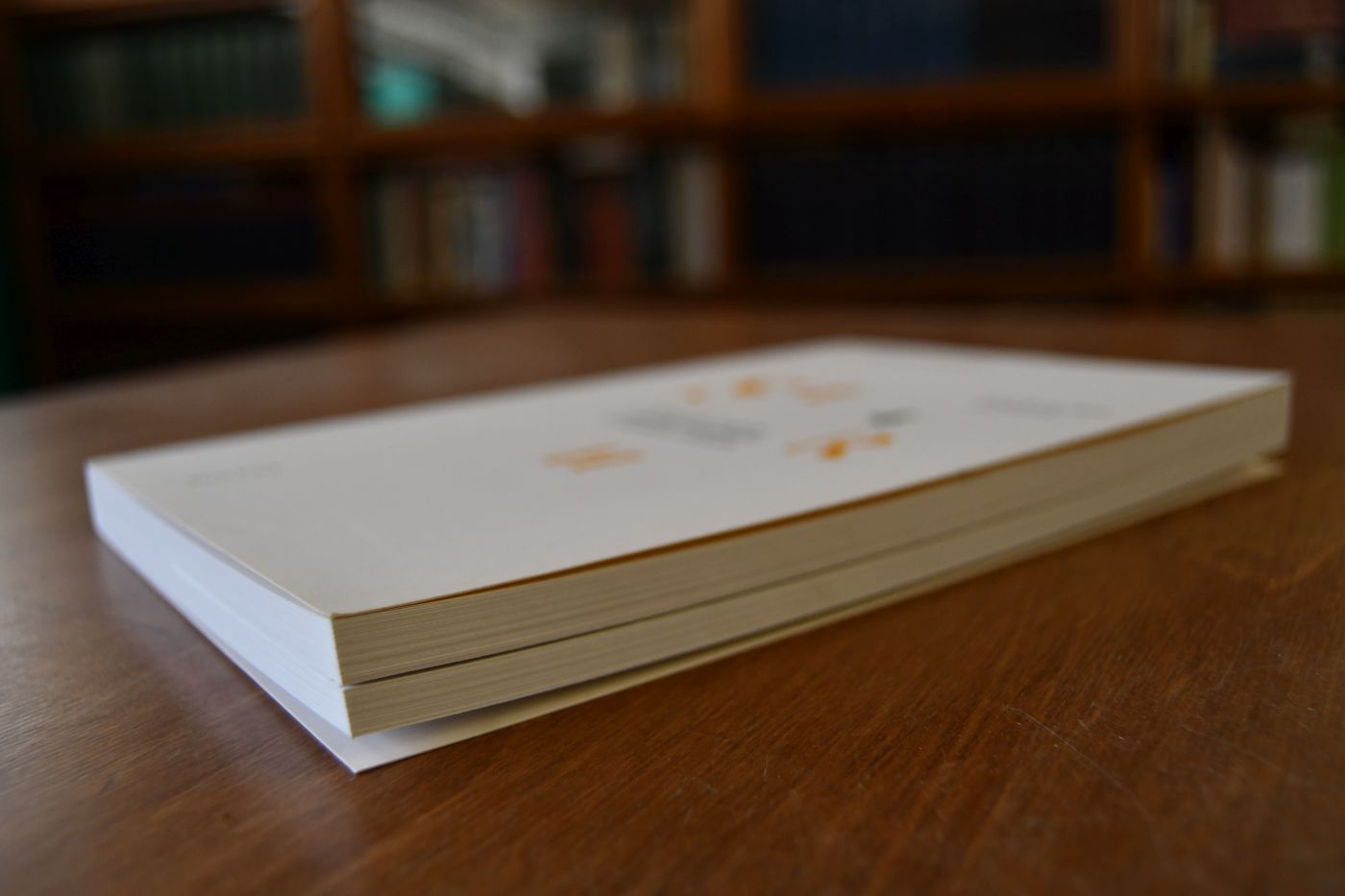 Religiöse Kartographie. Organisation, Darstellung und Symbolik des Raumes in religiösen Symbolsystemen.